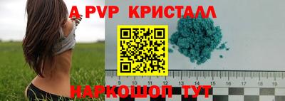 ECSTASY Кимры